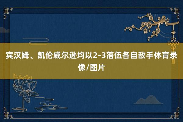 宾汉姆、凯伦威尔逊均以2-3落伍各自敌手体育录像/图片