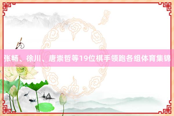 张畅、徐川、唐崇哲等19位棋手领跑各组体育集锦