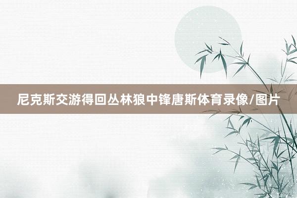 尼克斯交游得回丛林狼中锋唐斯体育录像/图片