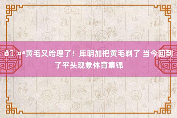 🤪黄毛又给理了！库明加把黄毛剃了 当今回到了平头现象体育集锦